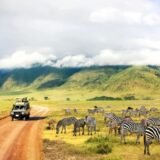 https://k2holidays.com/wp-content/uploads/2023/09/kenya-tanzania-slider-2-160x160.jpeg